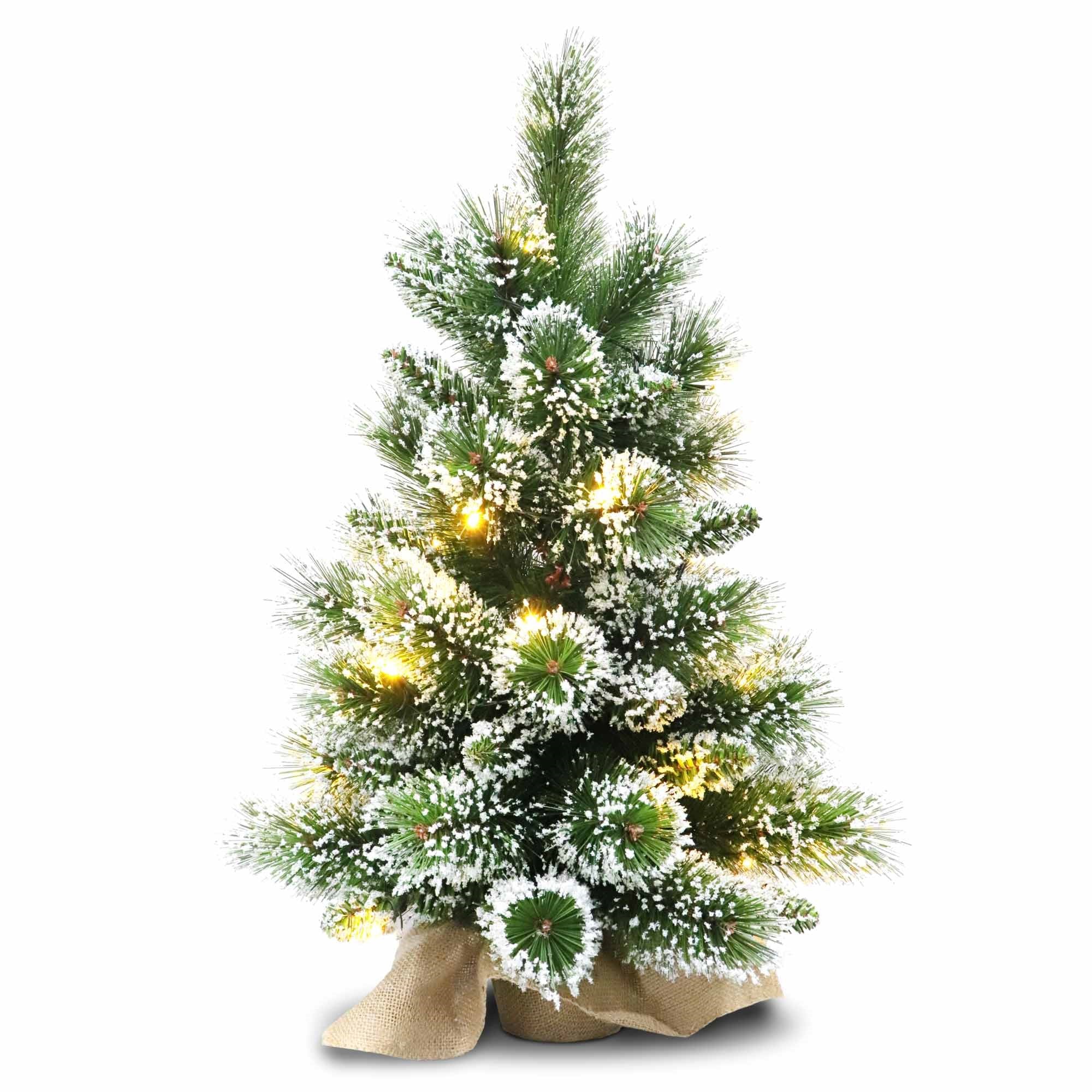 Small christmas tree discount in hessian sack