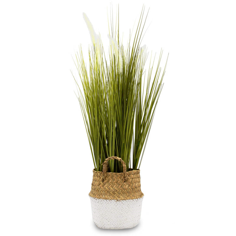 Wild Grass In A Wicker Basket