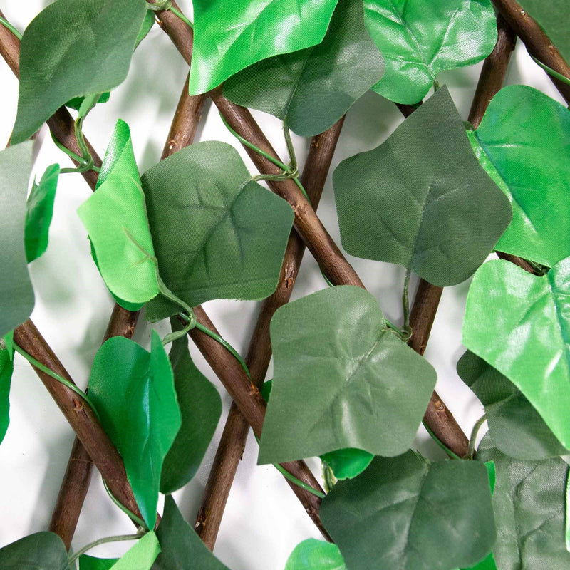 Expanding Ivy Trellis with Artificial Leaves