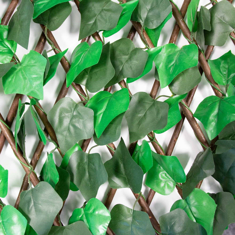 Expanding Ivy Trellis with Artificial Leaves