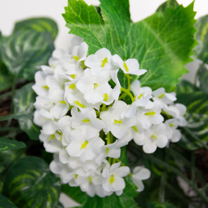 Willow Floral Wreath White Flower