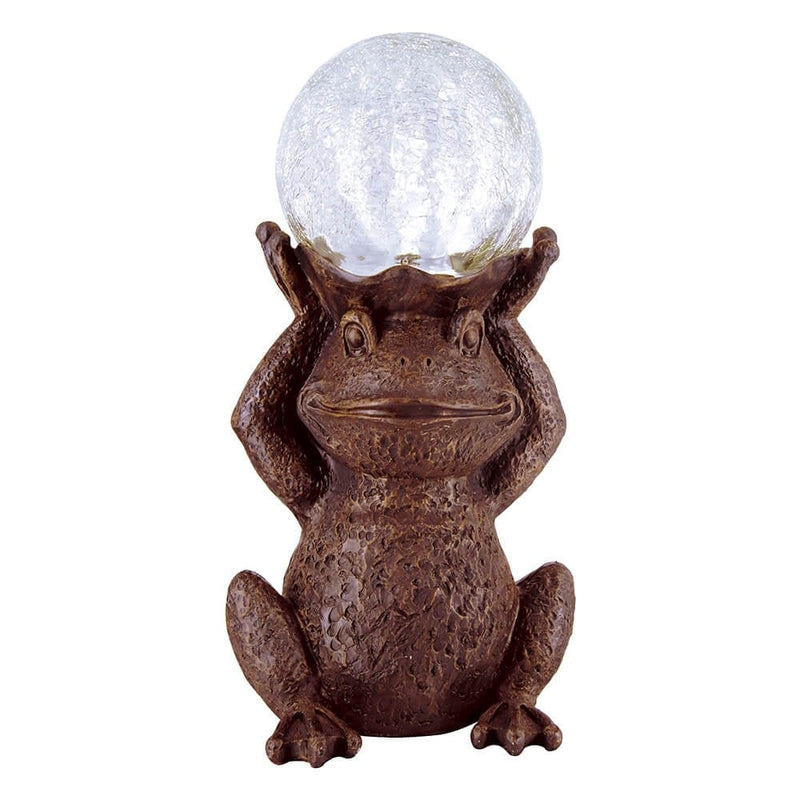 Gazing Solar Frog