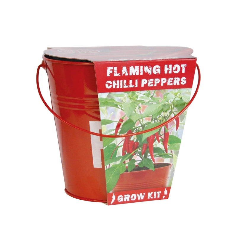 Flaming Hot Chilli Peppers Grow Kit