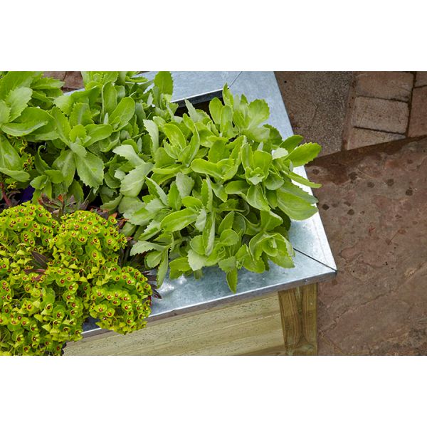 Forest Garden Cambridge Planter - 150x50