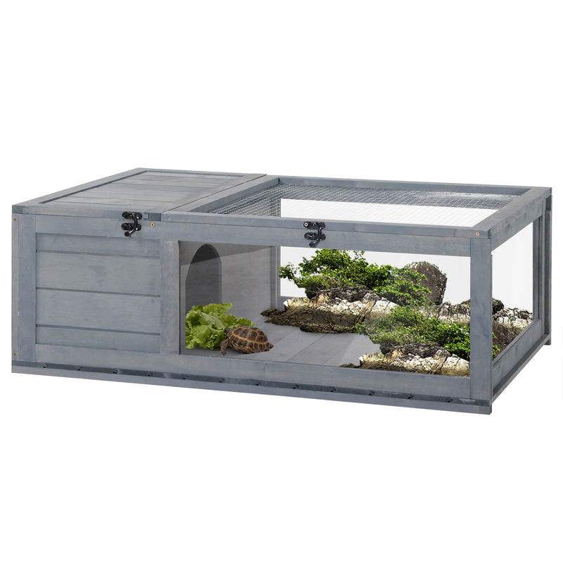 Tortoise house pets at hot sale home